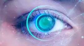 العين