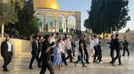 مجموعات المستوطنين تقتحم المسجد الأقصى المبارك بحماية الاحتلال.