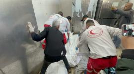 شهداء التحلية (11).jpeg