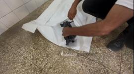 جنين ريهام أبو هين (1).jpeg