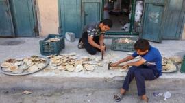 أزمة مخابز
