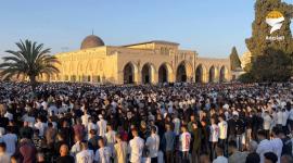 صلة عيد الاضحى بالمسجد الاقصى (3)