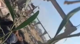 اطلاق نار قرب زيكيم.PNG