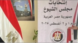 انتخابات مجلس الشيوخ المصرية.PNG