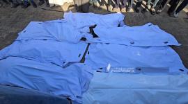 استشهاد أم
