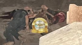 جثامين رفح