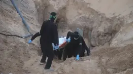 صورة توضيحية