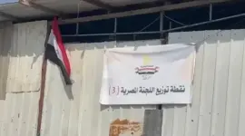 اللجنة المصرية