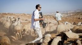 مستعمرون يهاجمون مساكن المواطنين في مسافر يطا