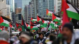 متضامنون مع فلسطين