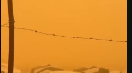 غبار.PNG