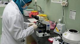 المختبرات في غزة