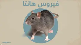 فيروس هانتا