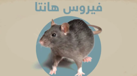 فيروس هانتا