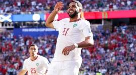 اسود الاطلس