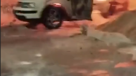 حرق مركبات.PNG