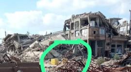 منطقة السنافور27
