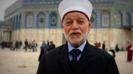 الشيخ محمد حسين
