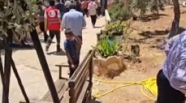 مستوطنون.PNG