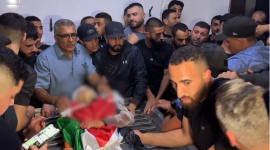 الطفل وليد أبو سنينة