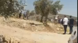 بيت فوريك.PNG