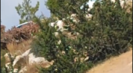 بؤرة في بلدة الظاهرية.PNG
