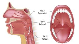عملية استئصال اللوزتان
