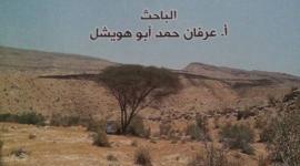 السبع
