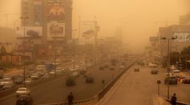 عاصفة التنين في مصر