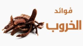 الخروب