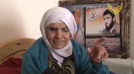 فارس بارود