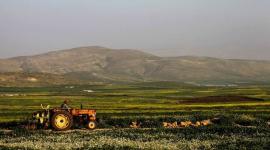 مناطق الاغوار الفلسطينية