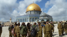 القدس في خطر