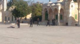 عملية القدس 14-7 في باحات المسجد الاقصى المبارك