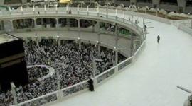 المطاف
