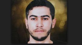 معتصم رداد.JPG