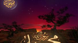 محمد رسول الله