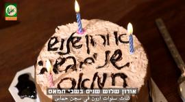 عيد ميلاد شاؤول