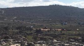 عمونا