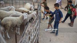 عيد الأضحى