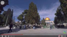 القدس