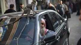 القرد ولهان مع صاحبه الفرا