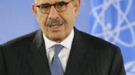 محمد البرادعي