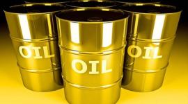 استقرار اسعار النفط 