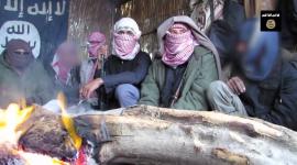 ولاية سيناء