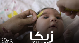 zika-2