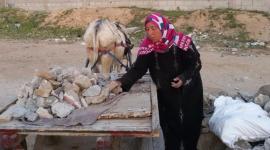 جهاد أبو محسن