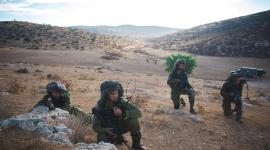 أرشيفية