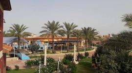 منتجع الدولفين السياحي