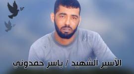 thumbnail_فادى الدربى